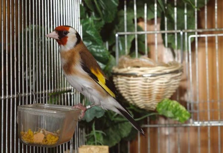 13a2db8c9cf3697def2f070d85bb7fee Xl