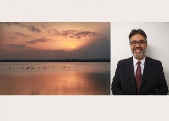 68aa0227ce1aaa38c452ab4eaf17093d Xl