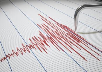 4594e6ec8212c3c82a3ac12f060a9ae6 Xl