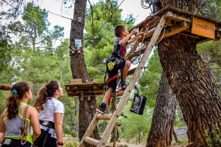 4291880349c6c9fa8d5b27b06221247b