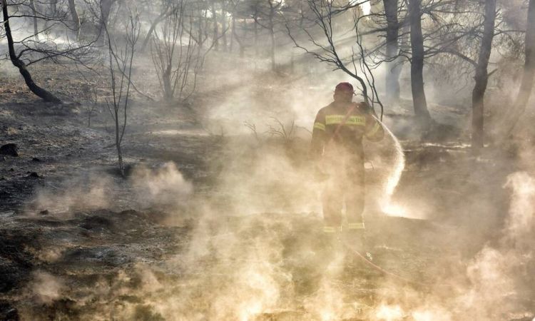 E475c6ab8e573f634d5be663e63236d4