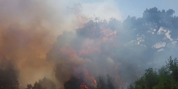 F54b49233300553237717fa9d725b92d