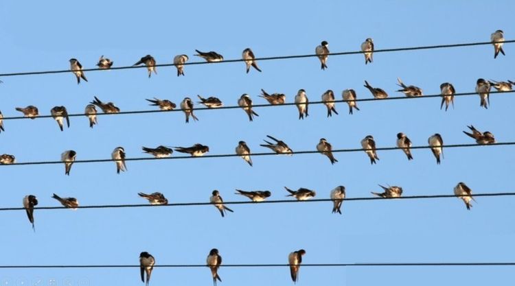 5089c9fe68a39d8b3be857100fd54e75