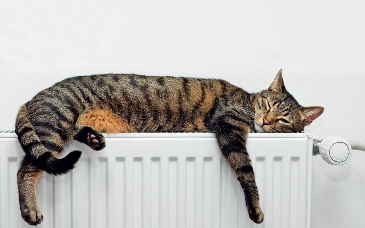 F956f9f356510b46ab586764cee0d1fe