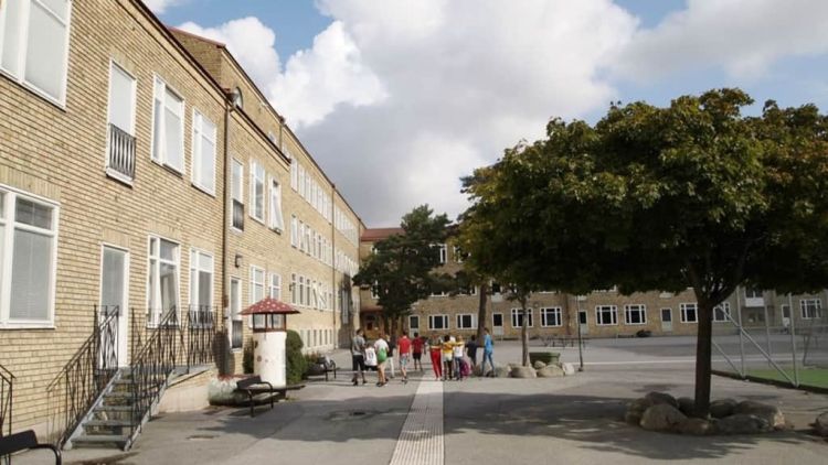 7ba870b9016a5dc96ba94a66275d1505