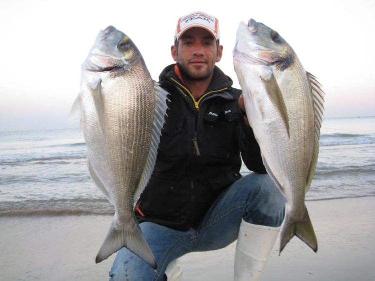 Άγριες τσιπούρες – η χαρά των ψαράδων