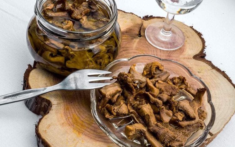 Αυτόματο προσχέδιο