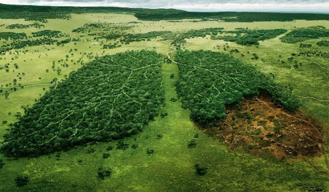 Αμαζόνιος: Πλησιάζει Σε Σημείο Μη Επιστροφής Η Καταστροφή Του – Εφιάλτης Για Τον Πλανήτη