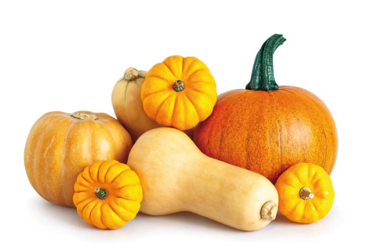 Κολοκύθες – ένα φθινοπωρινό λαχανικό Κολοκύθες – ένα φθινοπωρινό λαχανικό