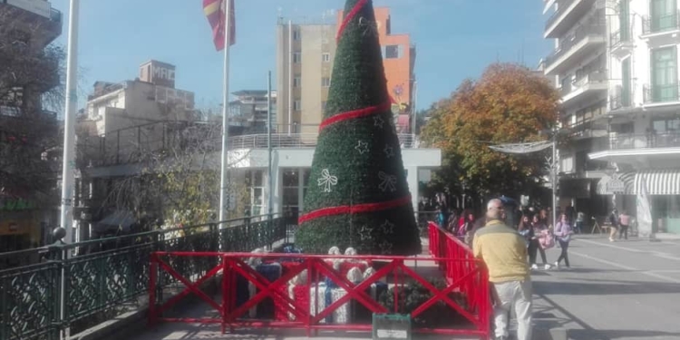 Κοζάνη – Tο Χριστουγεννιάτικο Δέντρο Είναι Έτοιμο