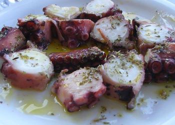 Χταπόδι – 14 τρόποι για να απολαύσεις το νόστιμο νηστίσιμο θαλασσινό…