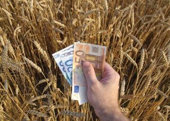 Αγρότες – Δάνεια 25.000 Ευρώ Για Επενδυτικές Δαπάνες