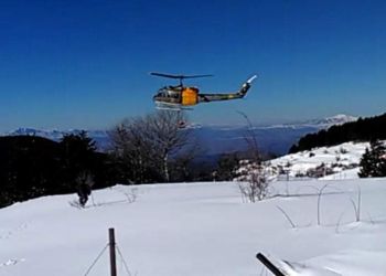 Αίσιο τέλος για τους κατοίκους του Καταφυγίου Αίσιο τέλος για τους κατοίκους του Καταφυγίου