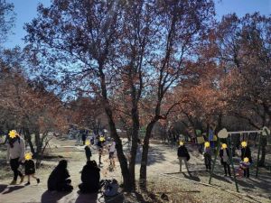 Η Δημοτική Κίνηση Κοζάνη – Τόπος να Ζεις για το Κουρί και τον ρόλο της Κίνησης