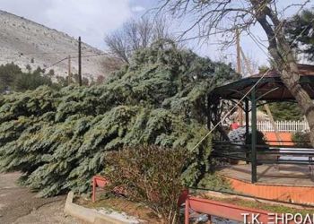 Έπεσαν Μέχρι Και Δέντρα Από Τους Δυνατούς Ανέμους Στην Περιοχή Της Κοζάνης. Δεν Λειτούργησαν Τα Σχολεία Σε Εορδαία Και Δήμο Σερβίων.