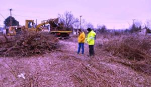 Εργασίες καθαρισμού και αποκατάστασης  