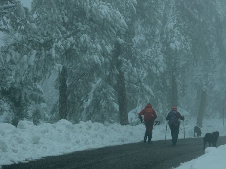 Έκτακτο Δελτίο επιδείνωσης καιρού από την ΕΜΥ – Έρχονται ισχυρές χιονοπτώσεις το επόμενο τριήμερο