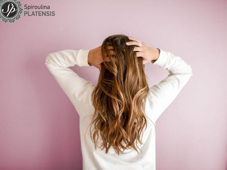 Αντιμετώπισε την τριχόπτωση με Spiroulina Platensis!