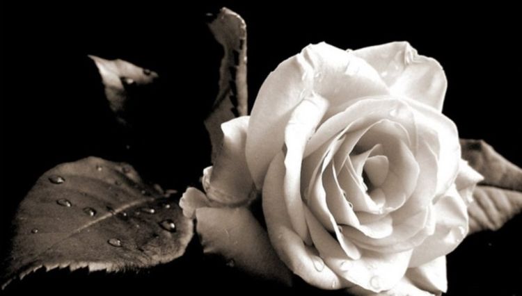  Θλίψη στον εκπαιδευτικό κόσμο της Κοζάνης. “Έφυγε” από τη ζωή η Βάσω Μπλιούμη