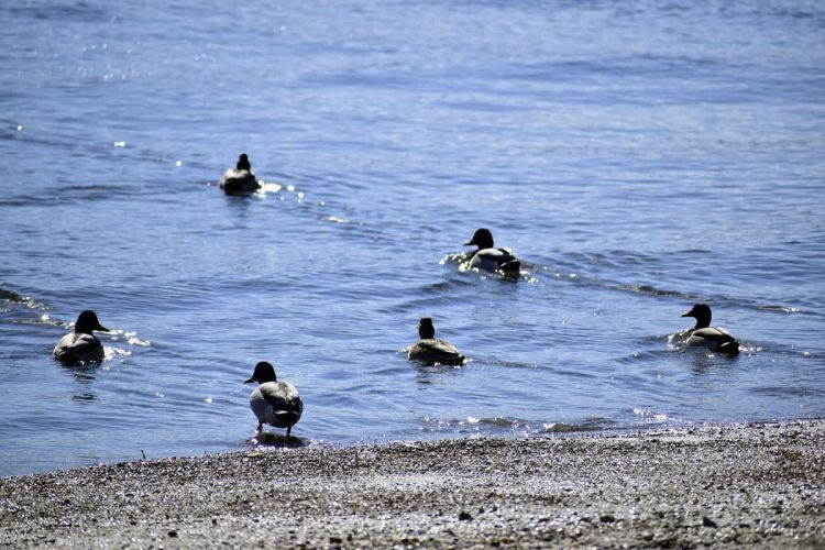Καιρός Σήμερα: Αίθριος με αραιές νεφώσεις και άνοδος της θερμοκρασίας
