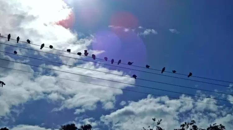 Καιρός Σήμερα: Ανοιξιάτικος με άνοδο θερμοκρασίας