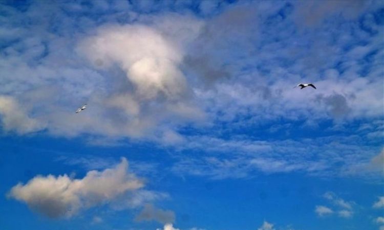 Καιρός Σήμερα: Αραιές νεφώσεις με ασθενείς τοπικές βροχές