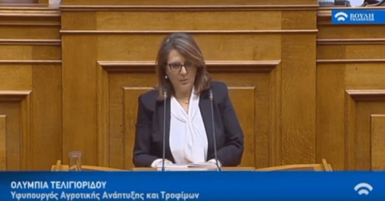 Ολυμπία Τελιγιορίδου: Την ώρα που η τιμή του νικελίου έχει εκτιναχθεί, η πώληση της ΛΑΡΚΟ είναι εθνικό έγκλημα.