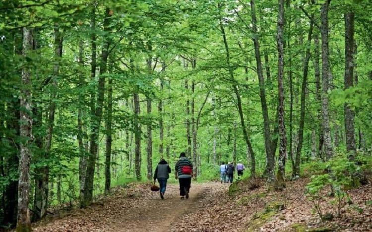 Ο Σ.Ε.Ο. Κοζάνης διοργανώνει τριήμερη εξόρμηση στην Αρναία Χαλκιδικής