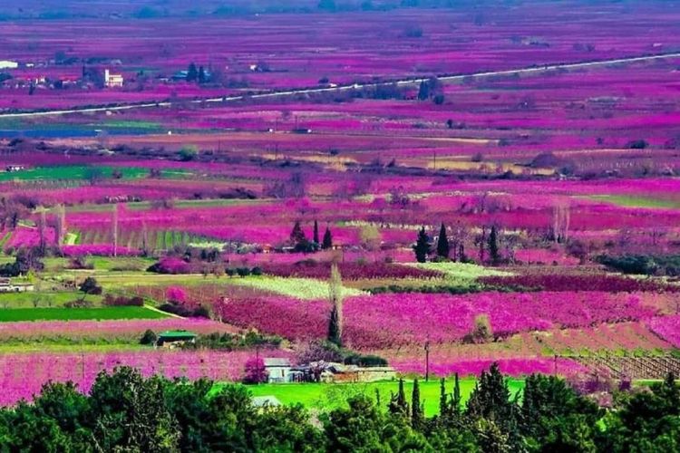 Ο ρομαντικός κάμπος της Βέροιας