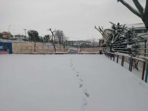 8ο Γυμνάσιο Κοζάνης: "Δεν πιστεύω να περιμένει ο δήμαρχος οι εκπαιδευτικοί του σχολείου να καθαρίσουμε την αυλή από τα χιόνια...;" 8ο Γυμνάσιο Κοζάνης: “Δεν πιστεύω να περιμένει ο δήμαρχος οι εκπαιδευτικοί του σχολείου να καθαρίσουμε την αυλή από τα χιόνια…;”