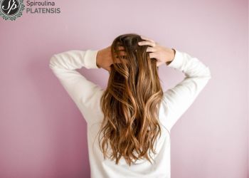 Αντιμετώπισε την τριχόπτωση με Spiroulina PLATENSIS! Αντιμετώπισε την τριχόπτωση με Spiroulina Platensis!