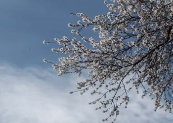 Καιρός Σήμερα: Γενικά αίθριος με αραιές νεφώσεις