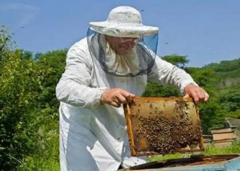 Μελισσοκομικός Σύλλογος Κοζάνης: Οδηγίες Προς Αγρότες Και Μελισσοκόμους Με Αφορμή Την Έναρξη Των Ανθοφοριών