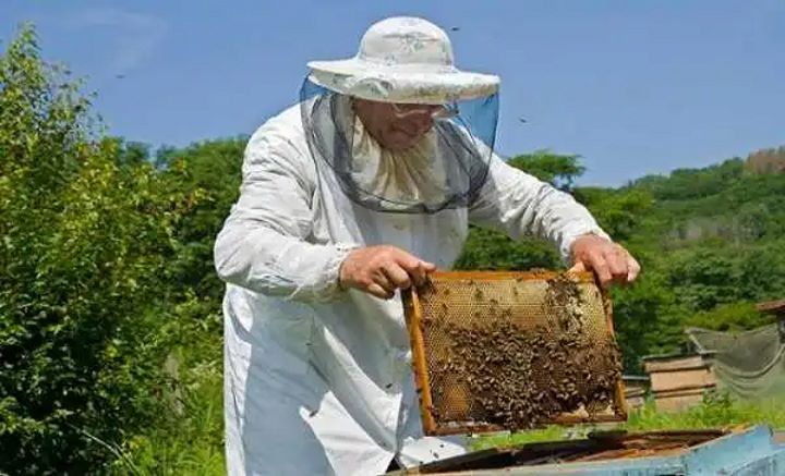 Μελισσοκομικός Σύλλογος Κοζάνης: Οδηγίες Προς Αγρότες Και Μελισσοκόμους Με Αφορμή Την Έναρξη Των Ανθοφοριών