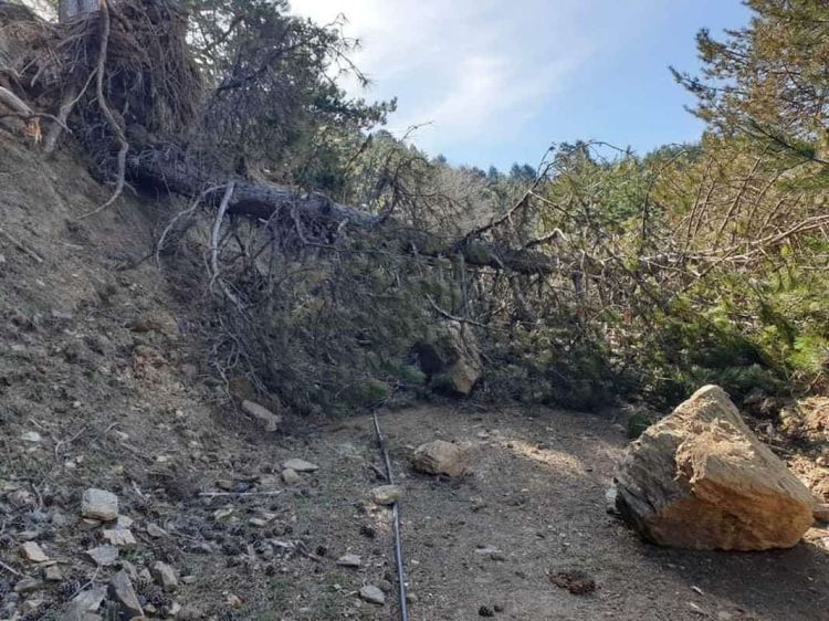 Εικόνες βιβλικής καταστροφής στα περισσότερα δάση του Δήμου Σερβίων