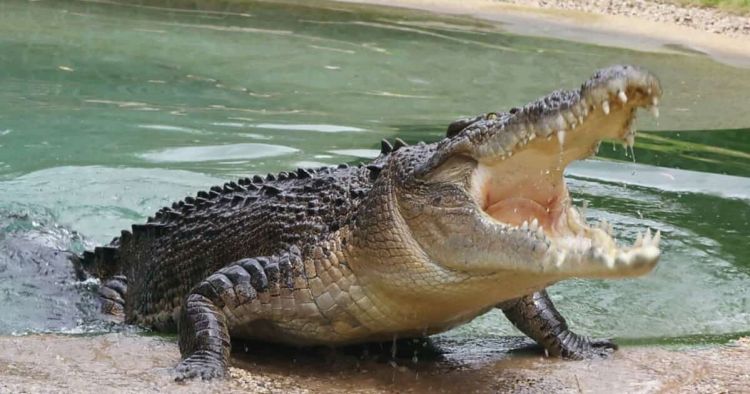 Εκδρομές κρουαζιέρες και απρόοπτα