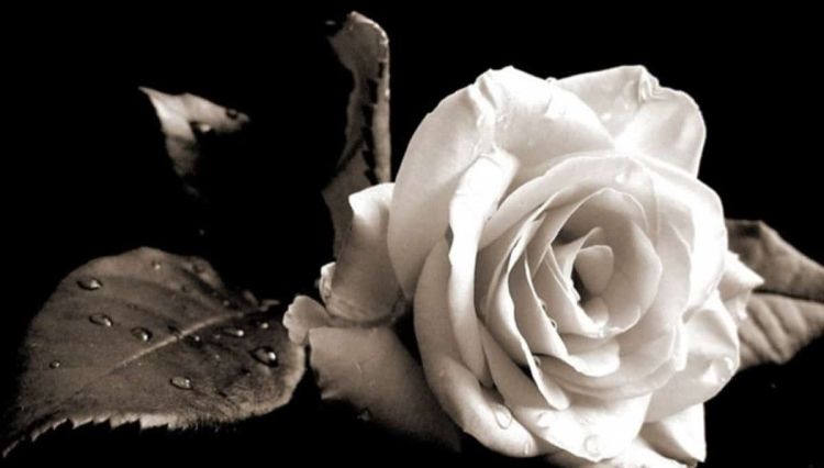 “Εφυγε” από τη ζωή ο συνταξιούχος παιδίατρος Βαγγέλης Σιδηράς