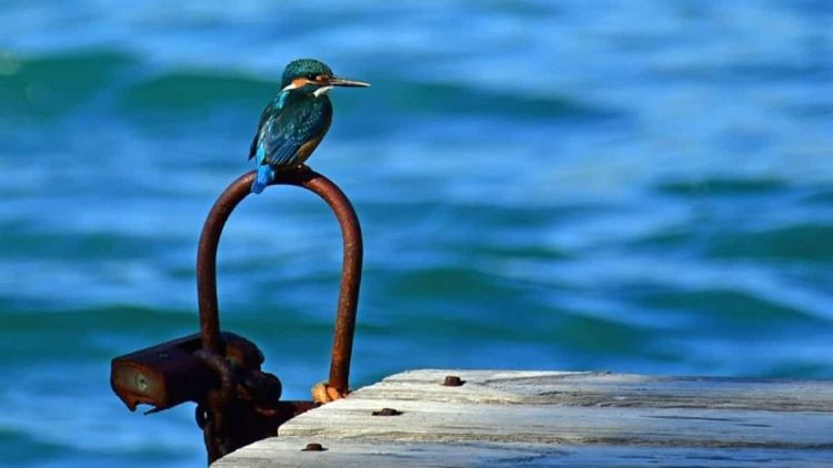 Καιρός Σήμερα: Αίθριος με μικρή άνοδος της θερμοκρασίας