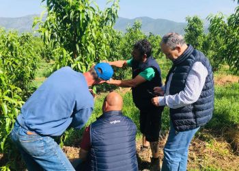Αρκετές ήταν οι ζημιές από το χαλάζι στο Βελβεντό. Σύσκεψη στην Περιφέρεια