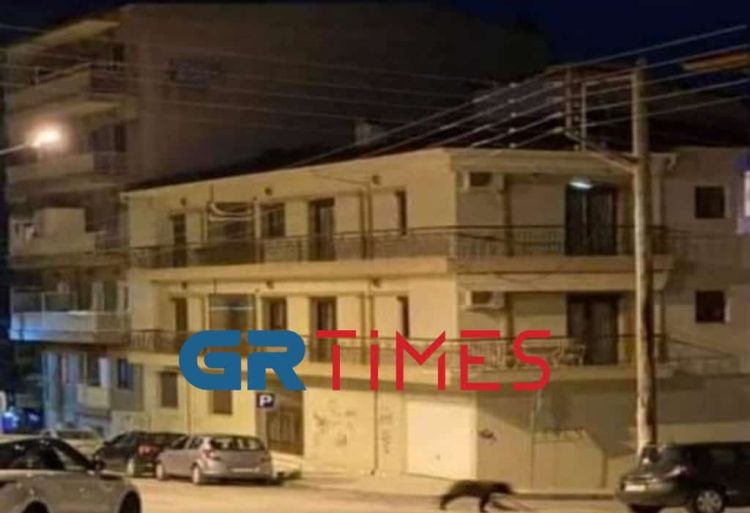 Αρκούδα βγήκε βόλτα στη Φλώρινα