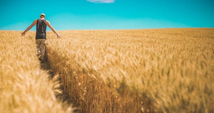 Η γεωργία εξευγενίζει τον άνθρωπο, τον οπλίζει με υπομονή, ταπείνωση και φιλοπατρία