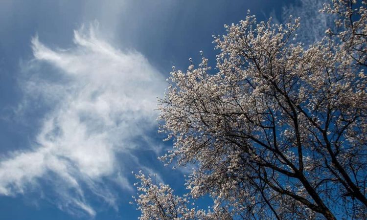 Ο Καιρός Σήμερα: Αίθριος με παροδικές νεφώσεις