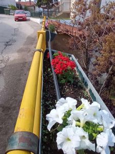 Ολοκληρώθηκε η συντήρηση της πρόσοψης του κέντρου πολλαπλών χρήσεων στην Καρυδίτσα Ολοκληρώθηκε η συντήρηση της πρόσοψης του κέντρου πολλαπλών χρήσεων στην Καρυδίτσα