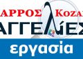 Ψηφίστηκε Ο Προϋπολογισμός Του Δήμου Σερβίων