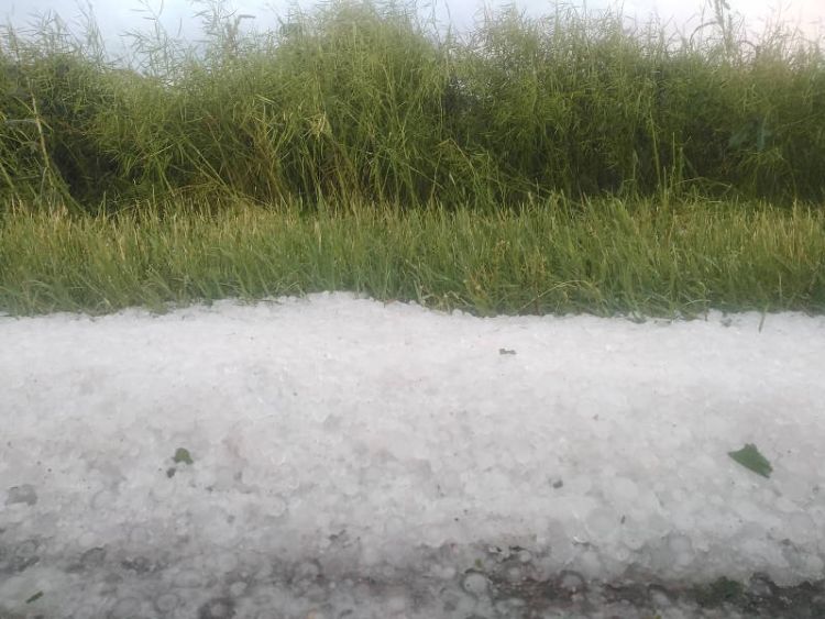 Δήμος Κοζάνης: Ψήφισμα στήριξης στους Αγρότες μετά τις ζημιές από τα έντονα καιρικά φαινόμενα