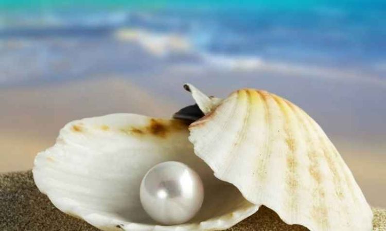 Μαργαριτάρια πανελληνίων εξετάσεων