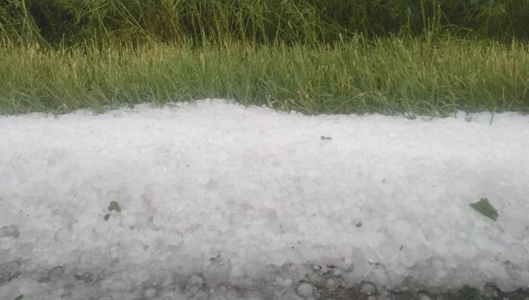 Μετρούν τις πληγές τους οι αγρότες