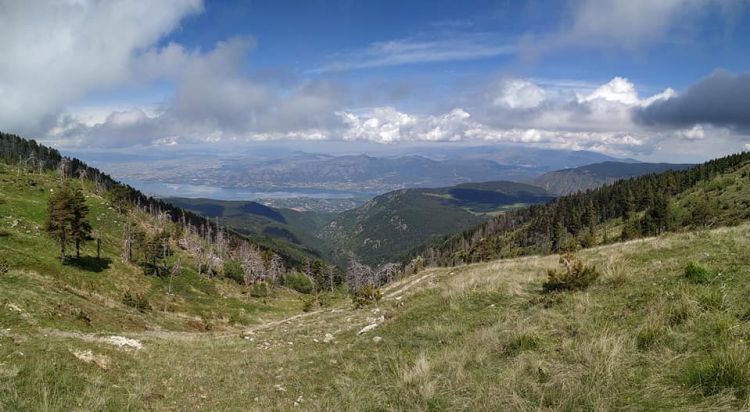 Ο Ε.Ο.Σ. ΚΟΖΑΝΗΣ διοργανώνει την Κυριακή 26.6.2022 ορειβατική εξόρμηση στα Πιέρια