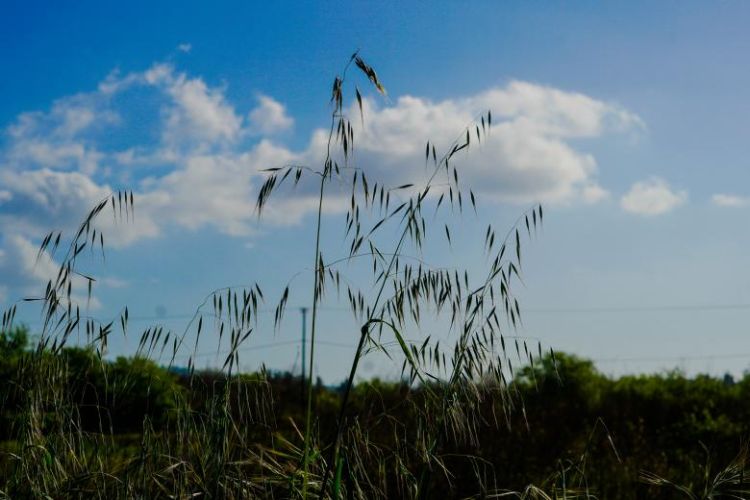 Ο Καιρός Σήμερα: Γενικά αίθριος καιρός, αλλά και όμβροι και σποραδικές καταιγίδες κυρίως μετά το μεσημέρι
