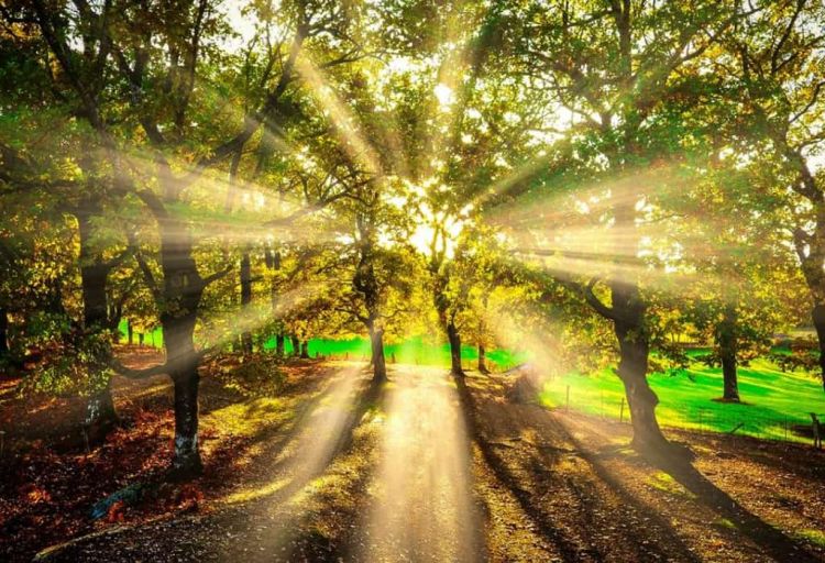 Ο Καιρός Σήμερα: Ηλιοφάνεια με άνοδο της θερμοκρασίας